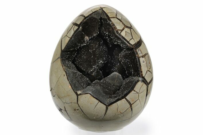 Huge Septarian Dragon Egg Geode ( lbs!) - Black Crystals #249145